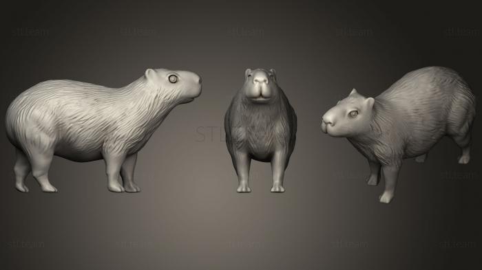 3D model Gold Capybara (STL)